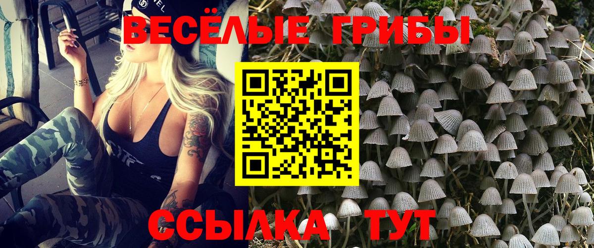 Псилоцибиновые грибы Magic Shrooms Новочеркасск