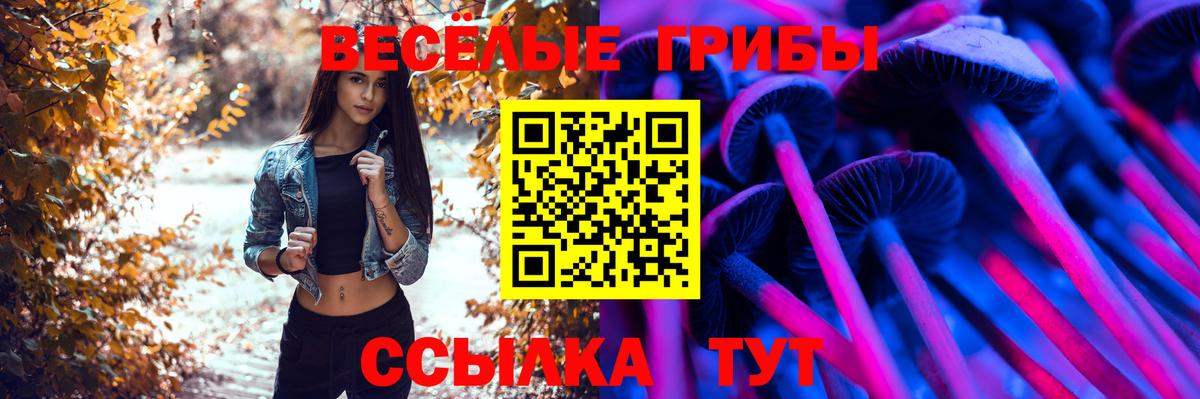 Меф Новочеркасск